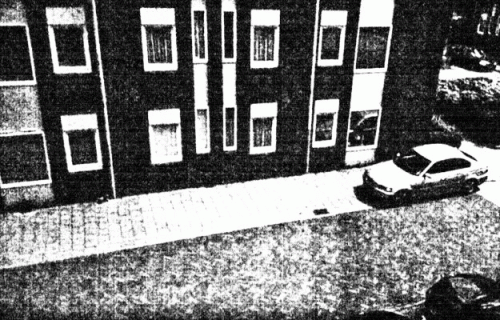 Anomaly (NL-1) : People from Boka Sami (They Have No Heart)